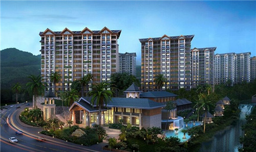 鱼头大大鱼头泡饭