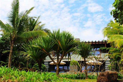 肚子里有料港式点心