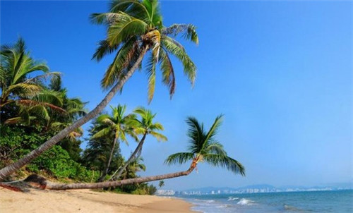 小洋婆串串香火锅