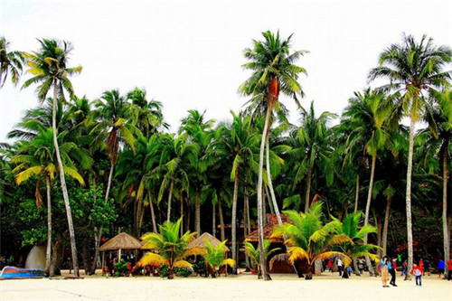 奶瓶加盟投资开店哪些品牌有优势