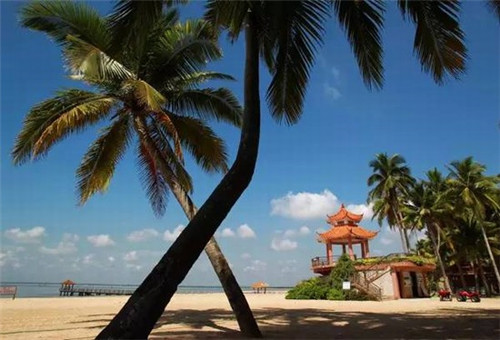 休闲板鞋加盟投资开店哪些项目好