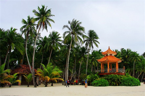 披萨加盟风险大不大，加盟多乐纳披萨怎么进货