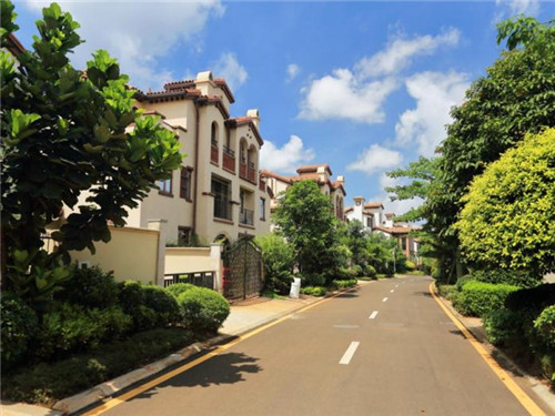 鱼粉店面要多大才够，翠翠姑娘苗家鱼粉公司在哪