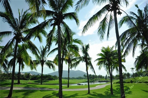 湖口最火三个景区（湖口景点门票）