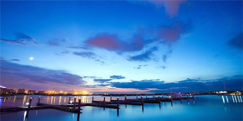 神奇宝贝十大打斗忍者（神奇宝贝十大打斗忍者图片）